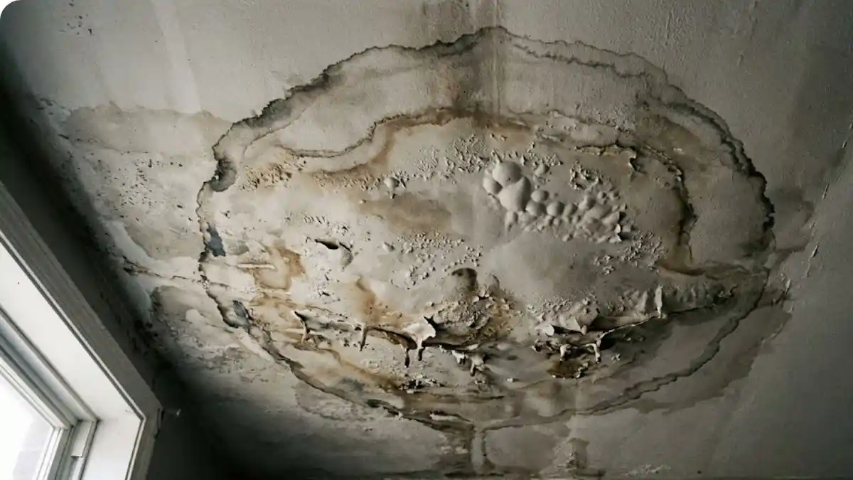 Ceiling water damage restoration in Fairfax, VA